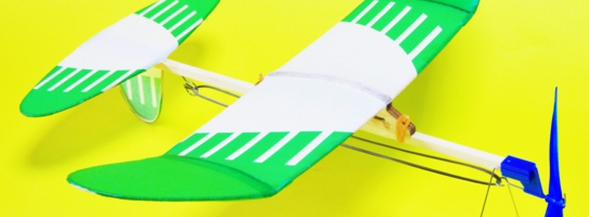 ジュニアイトプレーン パロット