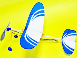 ジュニアライトプエーン ロビン