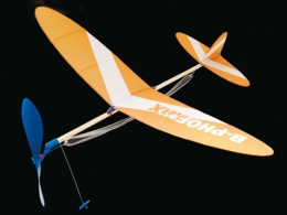 B級フェニックス