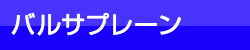 バルサプレーン